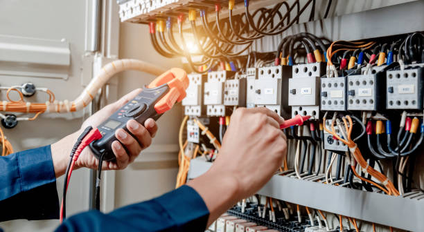 Best Electric Panel Repair  in Tamiami, FL